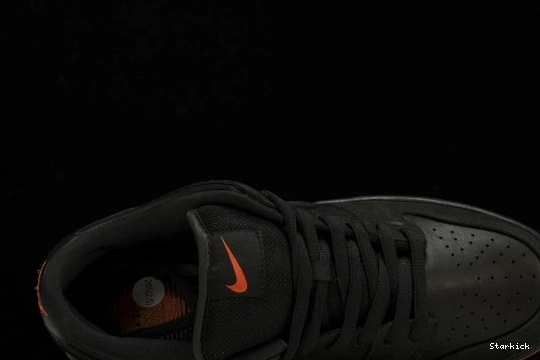 883232-008 Nike Low Black SB Dunk Pigeon 0927